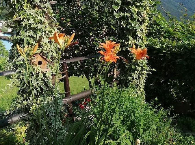 Le Palme Vendégház