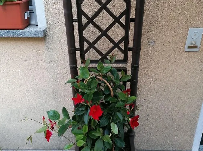 Le Palme Monteceneri