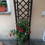 Le Palme ريفيرا