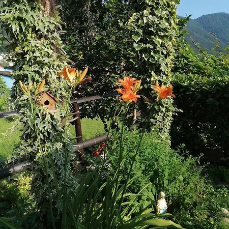 Le Palme Πανσιόν